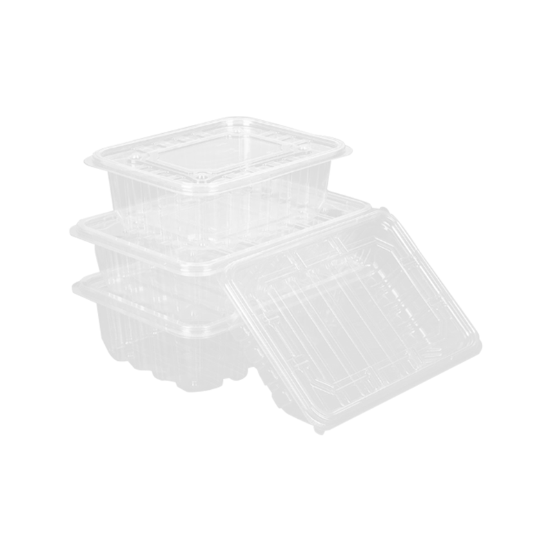 صندوق تغليف فواكه شفاف بالكامل يمكن التخلص منه